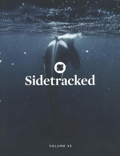 Sidetracked