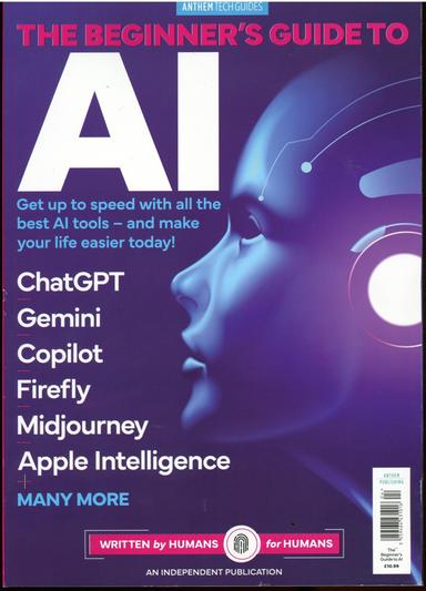 Beginners Guide to AI
