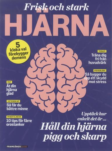 Framgångsguide I Form